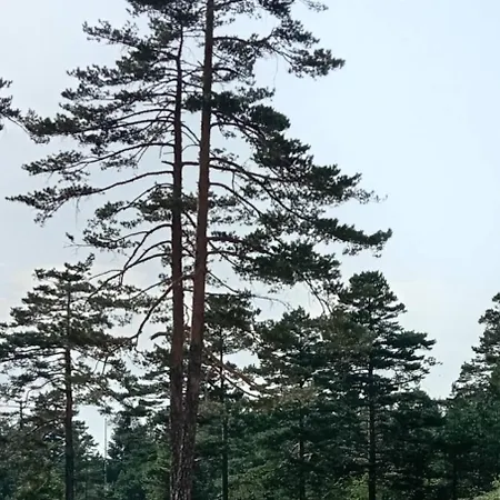 아파트 Planinski San Divčibare