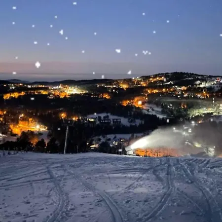 Planinski San Divčibare