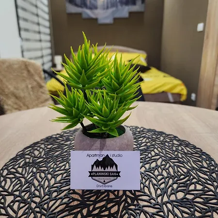Planinski San Apartmán Divčibare