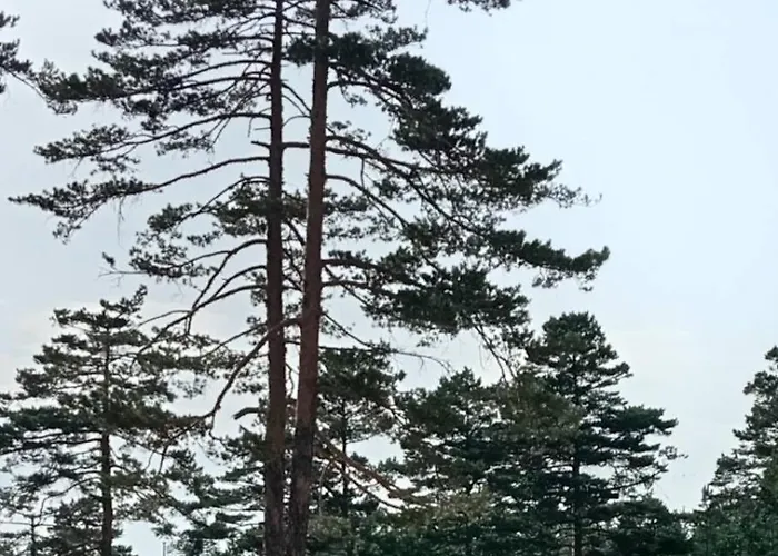 Apartament Planinski San Divčibare