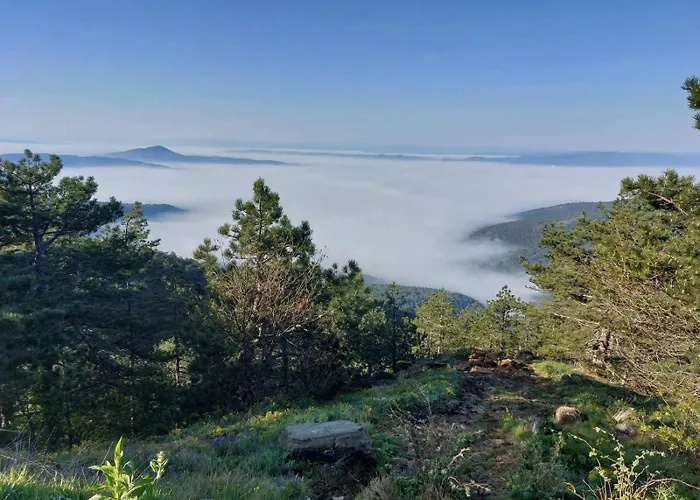 Planinski San Apartament