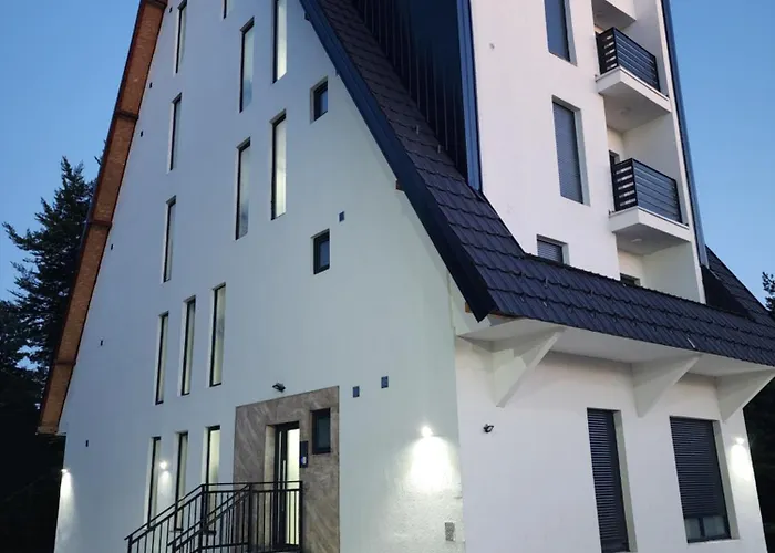 Apartament Planinski San *