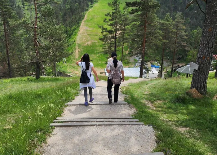 Apartament Planinski San Divčibare