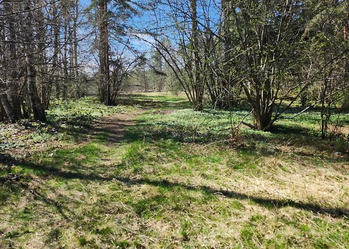 Planinski San * Divčibare