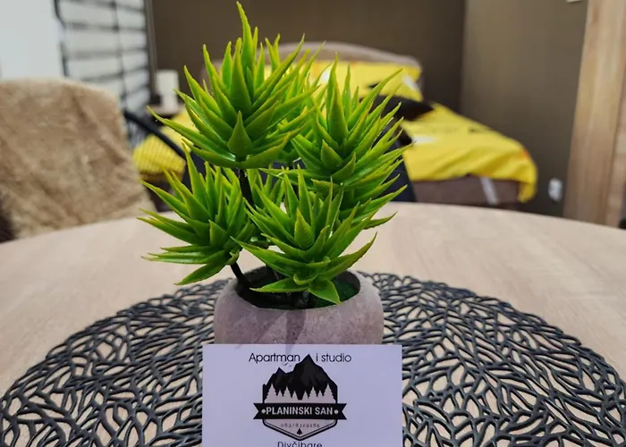 Planinski San Apartament Divčibare